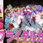 【パズドラ】ブライダルガチャ15連！　まあまあ引きがよかったか？