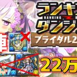 【ランダン】シトリーやシャロンは必要ありません！これ組めれば王冠！ランキングダンジョン ブライダル2024杯 【パズドラ】