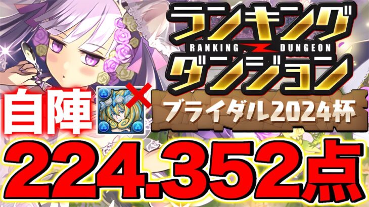 【ランダン】ノルザ無い人必見！ランキングダンジョン ブライダル2024杯 224,352点！自陣ノルザ無し！【パズドラ】