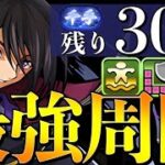 【新千手】センキョウ残り20周！ルルーシュでぶち回る！！　#shorts  　#パズドラ【パズドラ】