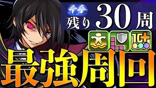 【新千手】センキョウ残り20周！ルルーシュでぶち回る！！　#shorts  　#パズドラ【パズドラ】