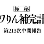 アワりん補完計画213日目【パズドラ】