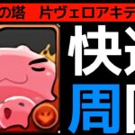 【ポリンの塔】片ヴェロアキティ3パターン紹介！最速46秒で一瞬で終わります！！！【パズドラ】