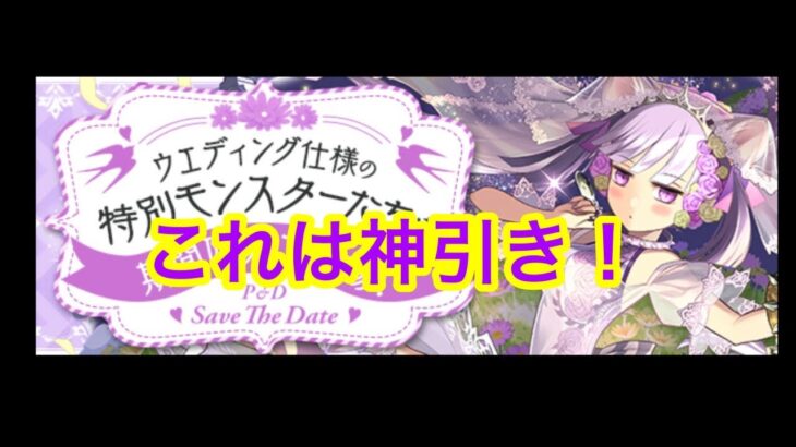 パズドラ　花嫁ガチャ40連！幸せを掴みます！