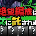 木フェス5回ガチャパーティのリベンジをさせてください【パズドラ】