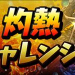 【生放送】灼熱チャレンジで石50個回収する！！！！【パズドラ】