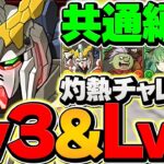 【魔法石50個GET】灼熱チャレンジLV1-LV4ユニコーン共通編成！これ組めば誰でも勝てます！【パズドラ】