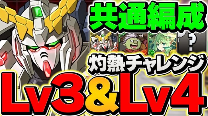 【魔法石50個GET】灼熱チャレンジLV1-LV4ユニコーン共通編成！これ組めば誰でも勝てます！【パズドラ】