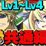 アンジェリーナで魔法石50個ゲット！LV1-LV4攻略！代用多数解説！灼熱チャレンジ【パズドラ】