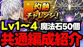 【灼熱チャレンジ】共通編成！魔法石50個を楽々回収！灼熱チャレンジLv1〜4アクセラレータ共通編成代用＆立ち回り解説！【パズドラ】