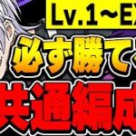 【魔法石50個】この編成で灼熱チャレンジLvEXまで全レベル制覇可能！！アクセラレータが最強すぎた！！【ブライダルイベント】【パズドラ実況】