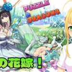 【#パズドラ】7月のブライダルガチャキャラで遊ぶ！🎮&🐲【三葉輪花】