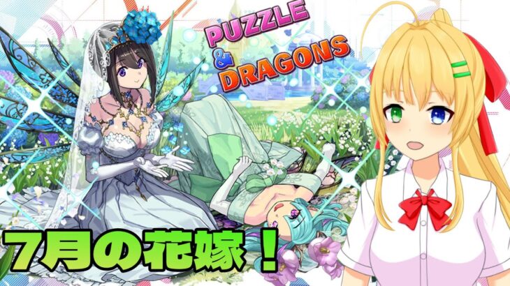 【#パズドラ】7月のブライダルガチャキャラで遊ぶ！🎮&🐲【三葉輪花】