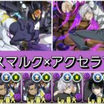 【極悪】76ビスマルク×ギャラハッド&アクセラレータループが最強&人権すぎる！【パズドラ】【コードギアスコラボ】