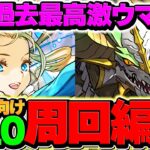 【過去最高効率】コードギアスLV10周回編成2パターン！虹宝玉を乱獲&シャーリーをゲットしよう！【パズドラ】