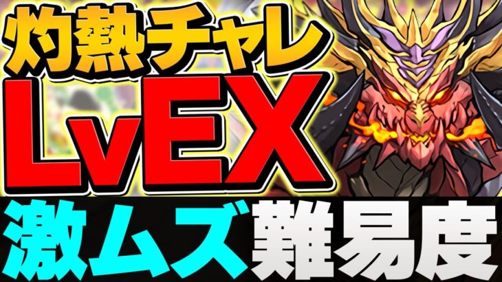 【最難関】LVEXに初見挑戦！→史上初の出来事が起こりました。 灼熱チャレンジ【パズドラ】