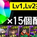 【灼熱チャレンジ】Lv1,Lv2共通のアクセラレータ×セルティ編成！アシスト簡単め。LF入れ替えればLv3も行けるはず※未検証【パズドラ】