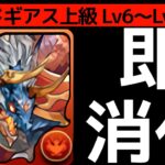 【コードギアス上級】Lv6〜Lv9共通！2分で分かるタイパ最強のシヴァドラPT【パズドラ】