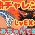 【生放送】灼熱チャレンジLvEXにきりみちゃんで挑む！【パズドラ】