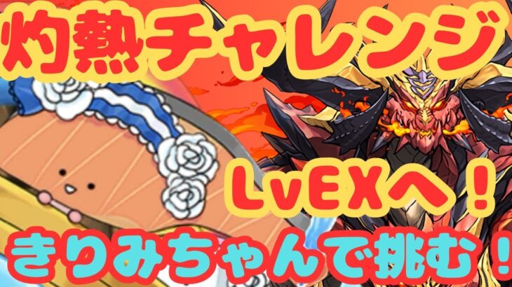 【生放送】灼熱チャレンジLvEXにきりみちゃんで挑む！【パズドラ】