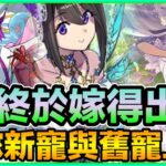 PAD パズドラ 花嫁情報！終於嫁得出 新寵與舊寵上修！！花嫁由主光變成主水屬了？