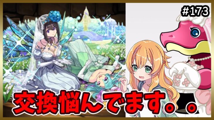 【無課金パズドラ】あのPTを作りたくてブライダルガチャを引いた結果…交換どうしよう！！