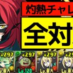 【全共通】簡易アンジェリーナPTで灼熱チャレンジ完全攻略！Lv1,Lv2,Lv4,Lv3,LvEXすべて安定！代用は概要欄【パズドラ】