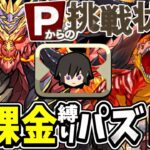 今のパズドラを無課金縛りでプレイしてみたら地獄すぎたPart.2【パズドラ】