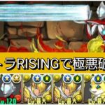 【最強&人権】ウルトラマンRISINGで極悪を破壊😎【パズドラ】【ウルトラマンイベント】