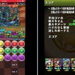 ランダン全国eスポーツ選手権2024杯【156656】　パズドラ  ボーダーちょい上