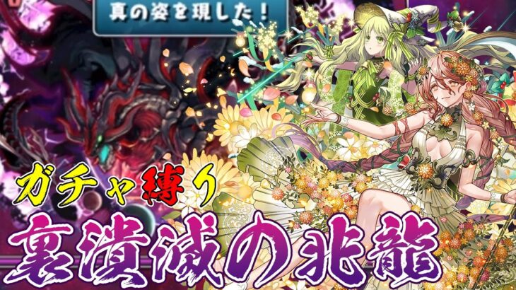 【パズドラガチャ縛り】半年温めたら腐りかけてた最強パーティ【ゆっくり実況】part.100