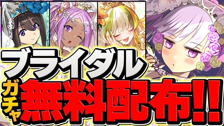 【神イベ】新キャラは◯万円でコンプできる！ブライダルイベント【パズドラ】