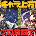 織姫と彦星に大幅強化！熟成＆上限解放追加で最強リーダーに！【パズドラ】