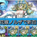 【新百式】強化された花嫁ノルザループが最強&人権すぎる。【パズドラ】【ブライダルイベント】