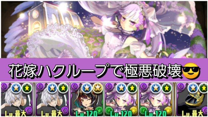 【極悪】花嫁ハクループが最強&人権すぎる！【パズドラ】【ブライダルイベント】