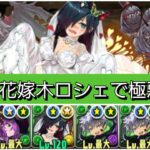 【極悪】強化された花嫁木ロシェが最強&人権すぎる。【パズドラ】【ブライダルイベント】