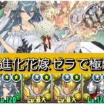 【極悪】強化された進化花嫁ゼラが最強&人権すぎる！【パズドラ】【ブライダルイベント】