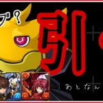 【パズドラ】このガチャしぶくないですか！？→自称汎用パ試す