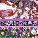 【極悪】強化された花嫁濃姫が最強&人権すぎる！【パズドラ】【ブライダルイベント】