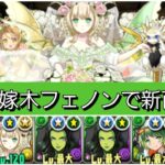 【新百式】強化された花嫁木フェノンが最強&人権すぎる！【パズドラ】【ブライダルイベント】