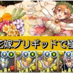 【極悪】強化された花嫁ブリギッドが最強&人権すぎる！【パズドラ】【ブライダルイベント】