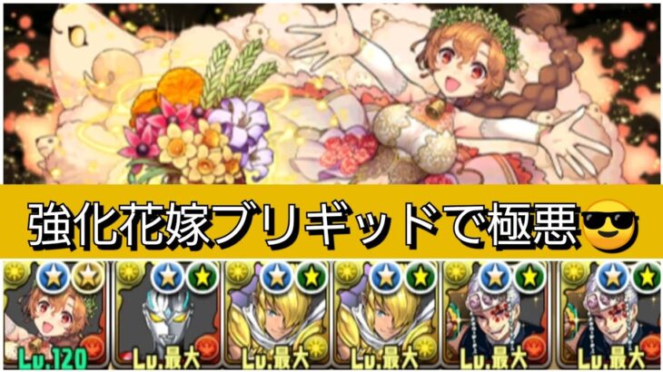 【極悪】強化された花嫁ブリギッドが最強&人権すぎる！【パズドラ】【ブライダルイベント】