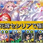 【極悪】強化された花嫁セシリアが最強&人権すぎる！【パズドラ】【ブライダルイベント】