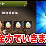 【無課金パズドラ】コードギアスコラボのあのキャラが欲しいので全力でいきますっ！！