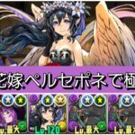 【極悪】強化された花嫁ペルセポネが最強&人権すぎる！【パズドラ】【ブライダルイベント】