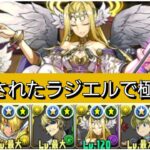 【極悪】強化されたラジエルが最強&人権すぎる！【パズドラ】【ブライダルイベント】