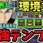 【環境1位】妥協無し！ジノ最強(汎用)テンプレ！普段使い〜最高難易度まで！代用・立ち回り解説！特に冒頭の編成紹介が重要/ジノ×ジノ/ジノ×桜ミク【パズドラ】