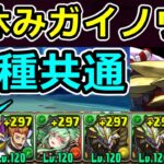 【13種共通】高速周回にもおすすめ！夏休みガイノウト降臨！正月ノルディス編成【パズドラ】