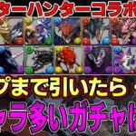 【パズドラ】モンハンコラボ全キャラ出るまで回した結果・・・新キャラ15体ガチャは地獄‼︎リオレウス探しの旅【パズドラ実況】