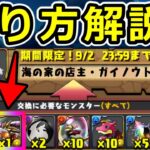 【3分半でわかる】本家ガイノウトの進化素材の集め方解説！夏休みガイノウトの素材【パズドラ】